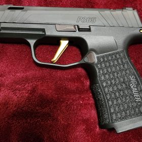 P365 Receiver Pin