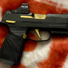 P365 Receiver Pin